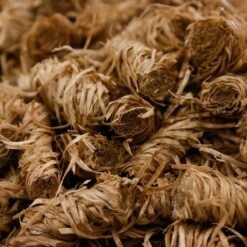 Samba Aanmaakhoutwol, Aanmaakkrullen, -wokkels á 24 Stuks 8 Samba Aanmaakhoutwol, Aanmaakkrullen, -wokkels á 24 Stuks -Barbecue Benodigdheden Winkel 1200x1200 66