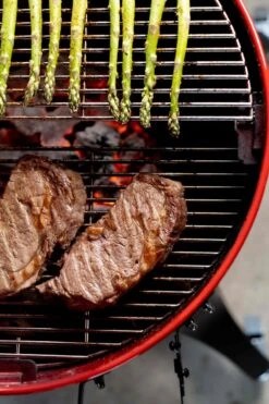 Kamado Joe - Kettle Joe Barbecue 21 Kamado Joe - Kettle Joe Barbecue -Barbecue Benodigdheden Winkel 799x1200 1